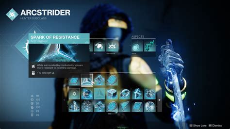 Destiny 2 Arc Hunter PvE Build